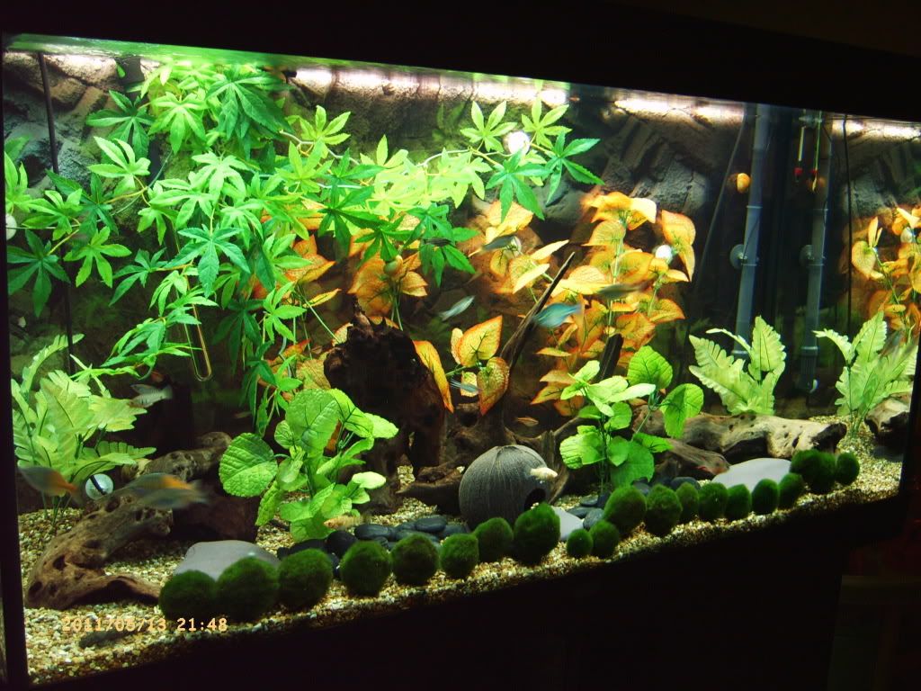 PICT0244.jpg