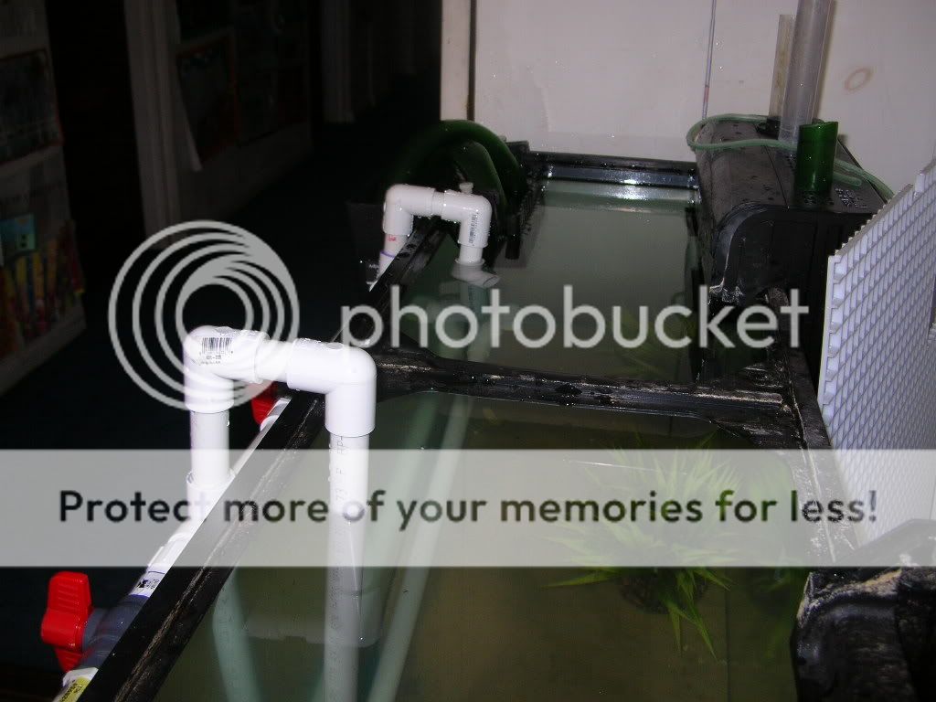 DSCN3627.jpg
