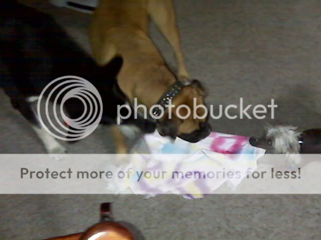 IMG00292.jpg