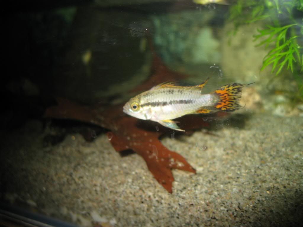IMG_5501.jpg