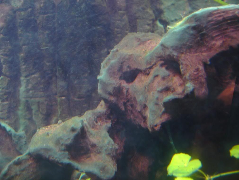 IMAG0026-3.jpg