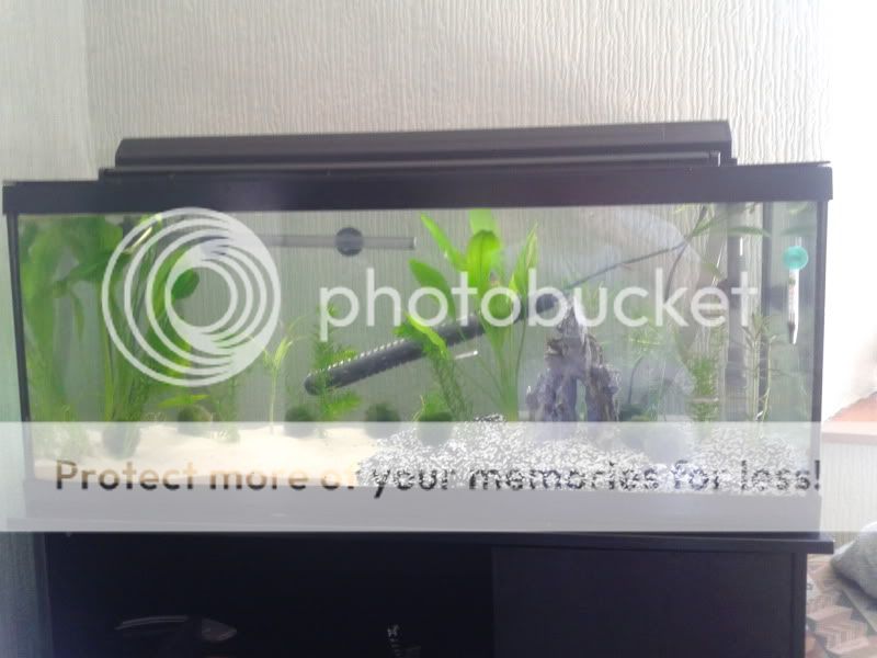 2011-05-31101015.jpg