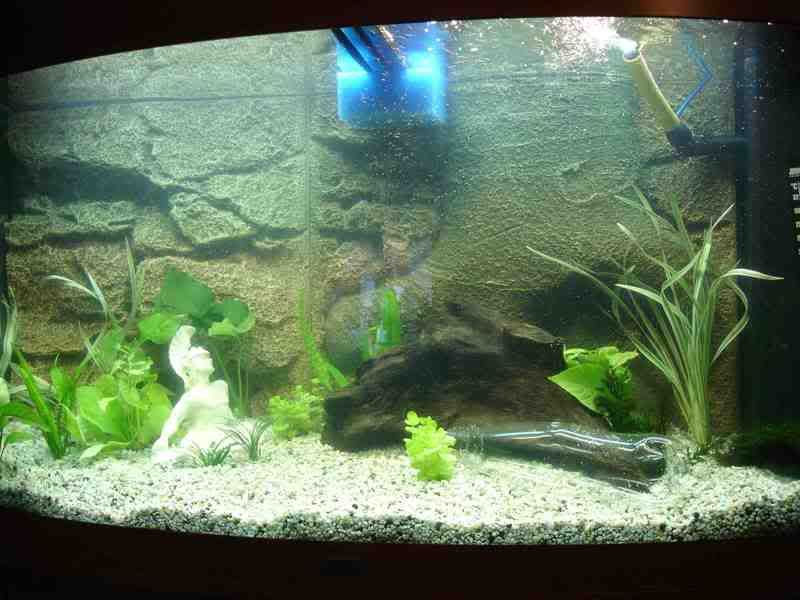 fulltank1.jpg