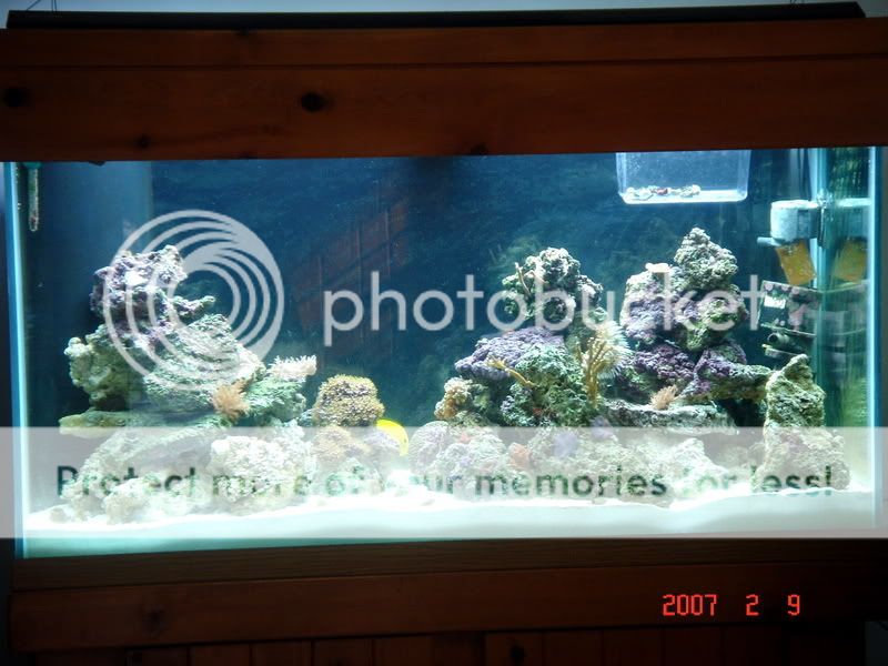 DSC01175.jpg