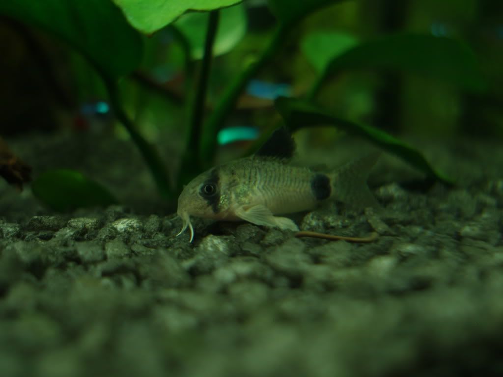 P1010355.jpg