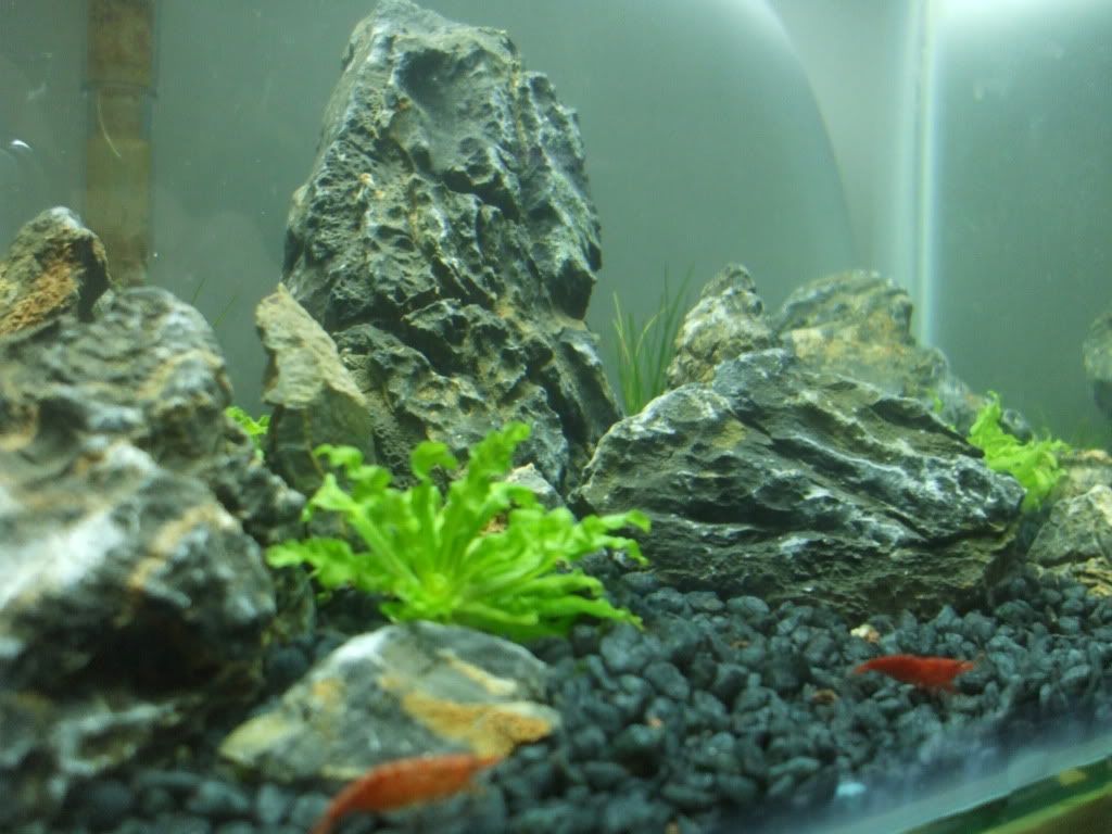 DSCF9742.jpg