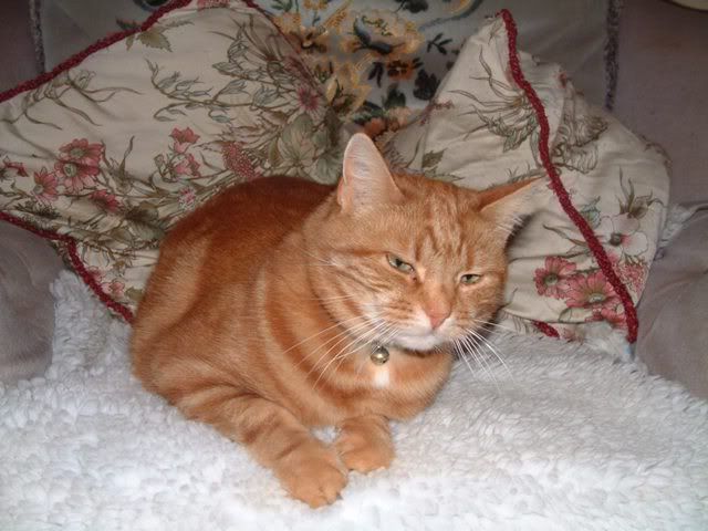 DSCF0161.jpg