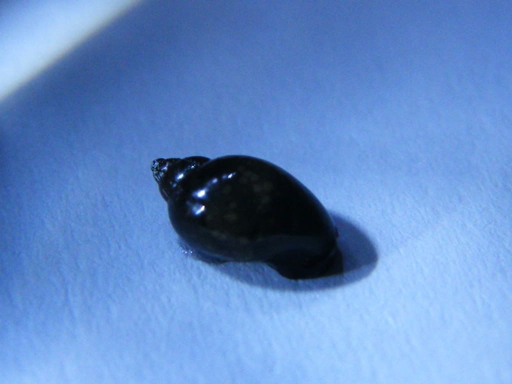 DSCF4179.jpg