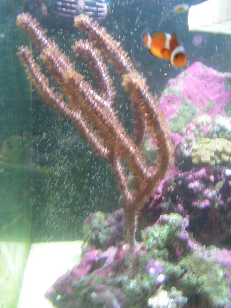 PICT1401.jpg