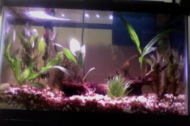 Photoon2-29-12at545PM.jpg