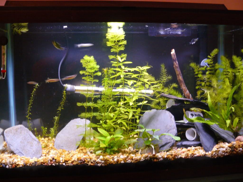 P1060414.jpg