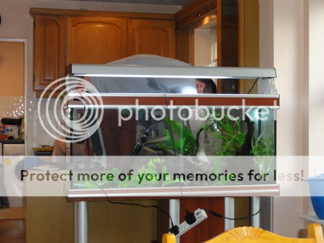 DSC04776.jpg