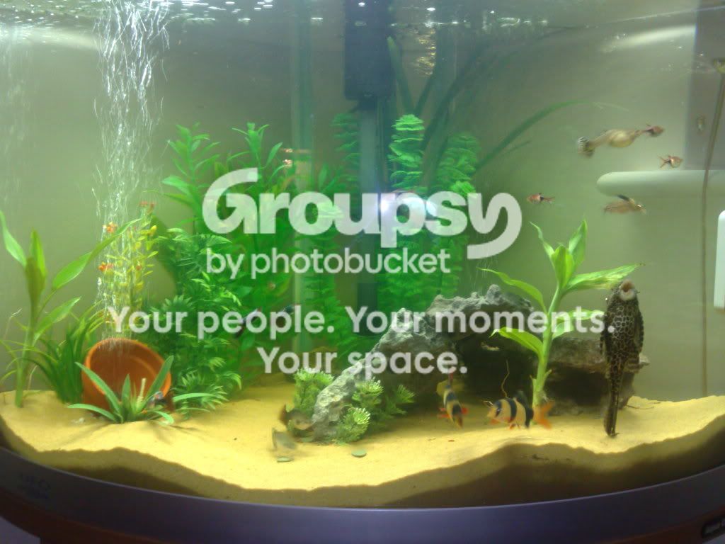 24112008222.jpg