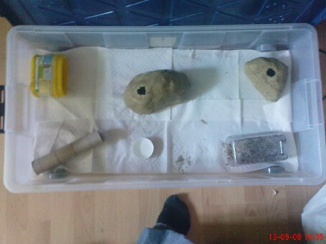 DSC00681.jpg