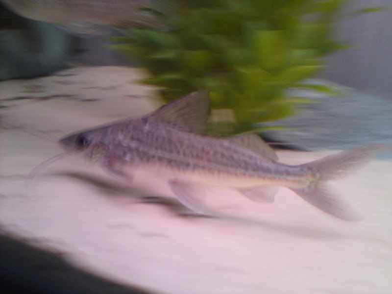 DSC00105.jpg
