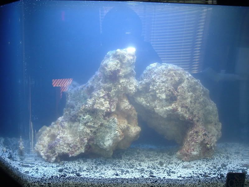 DSCF0274.jpg