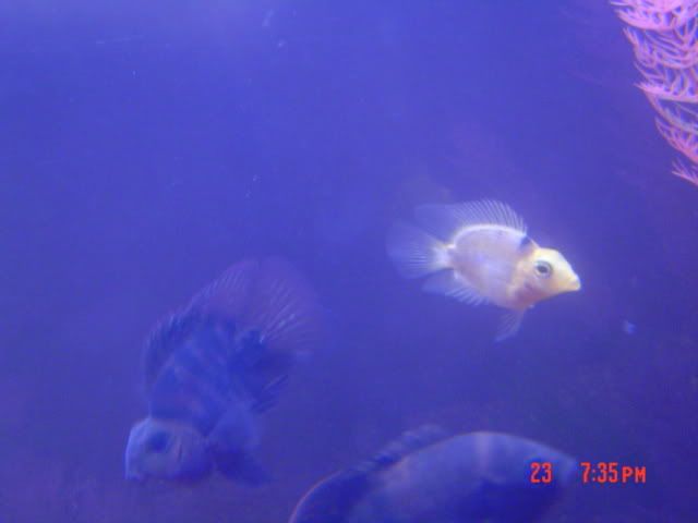 DSC03099.jpg