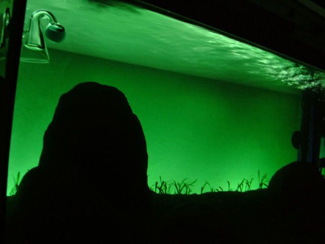 DSCF122711.jpg
