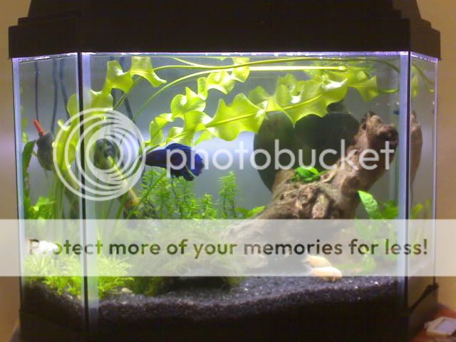 DSC00034.jpg