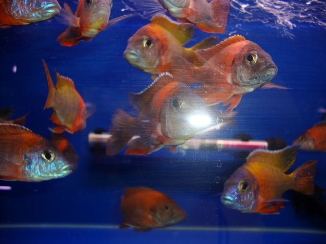 DSC01353.jpg