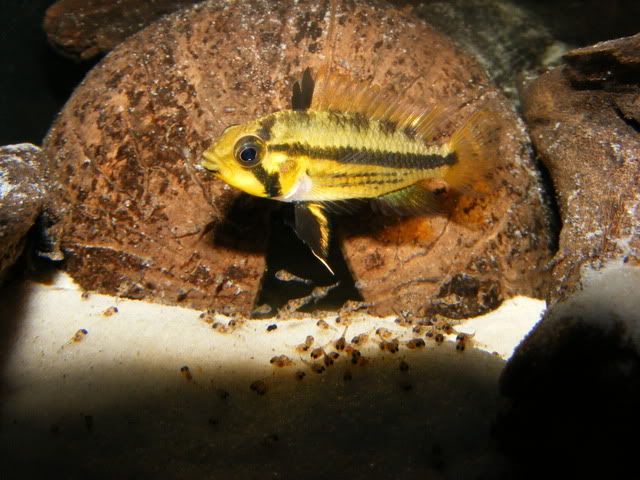 DSCF5099.jpg
