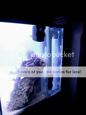 2009_0517Reef0031a.jpg