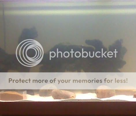 moto_0330.jpg