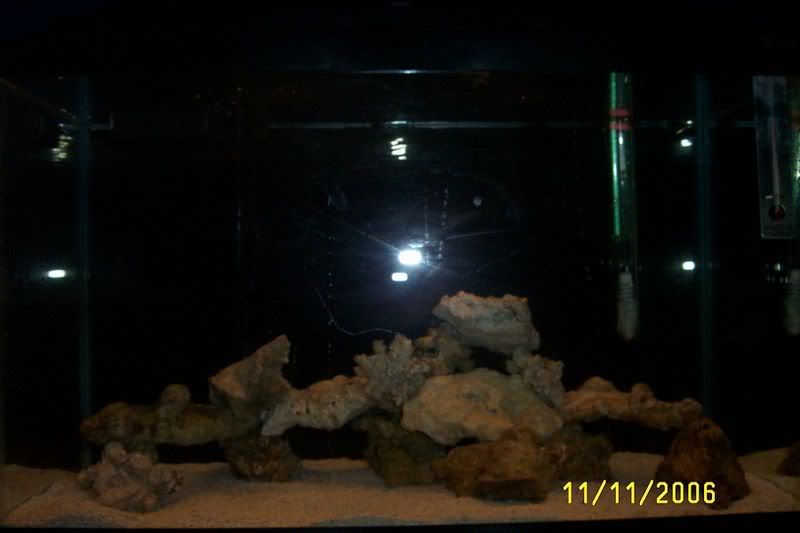 tank3.jpg