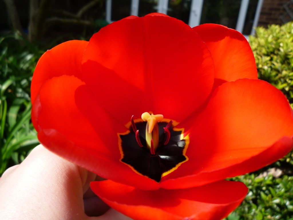P1050177.jpg