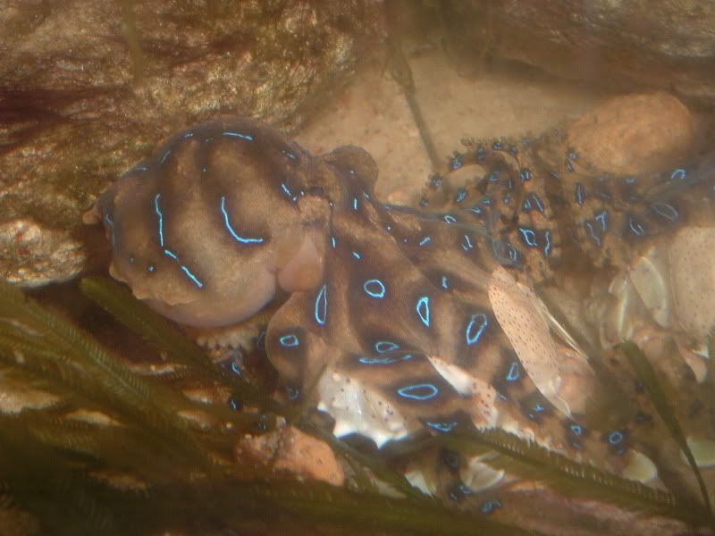 DSCF8210.jpg
