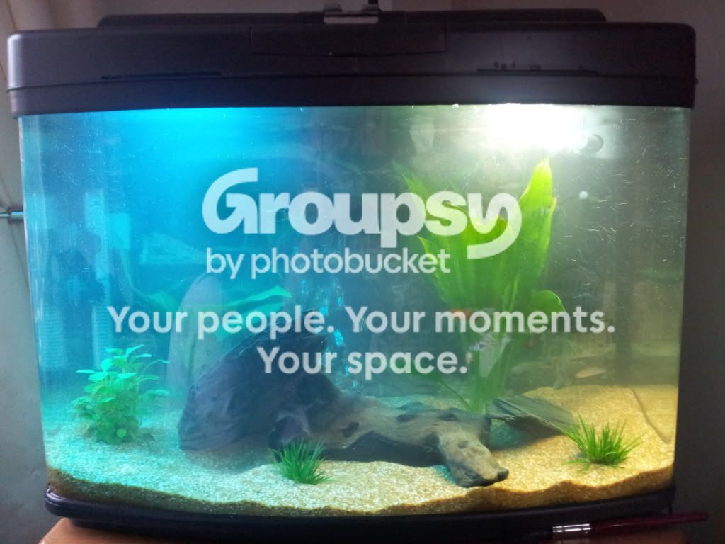 20111128_090548.jpg