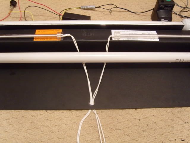 SS100083-1.jpg