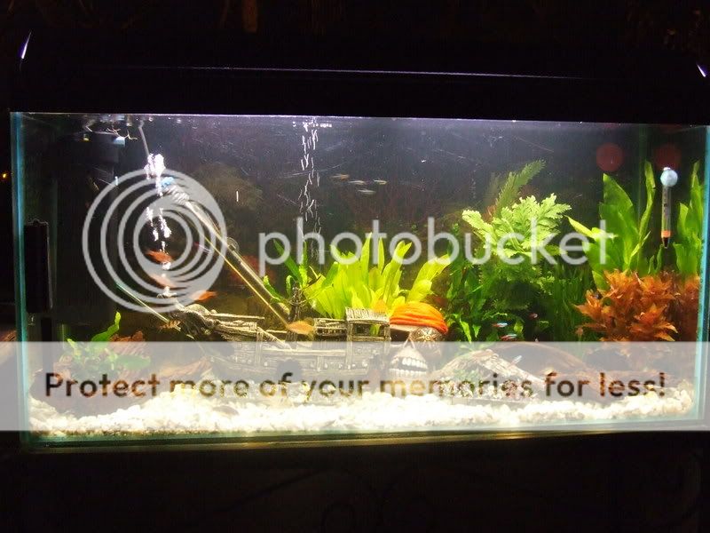 DSCF2378.jpg