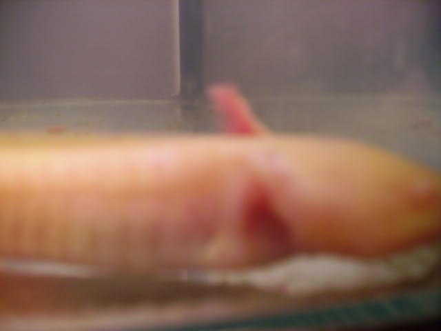 Picture006.jpg