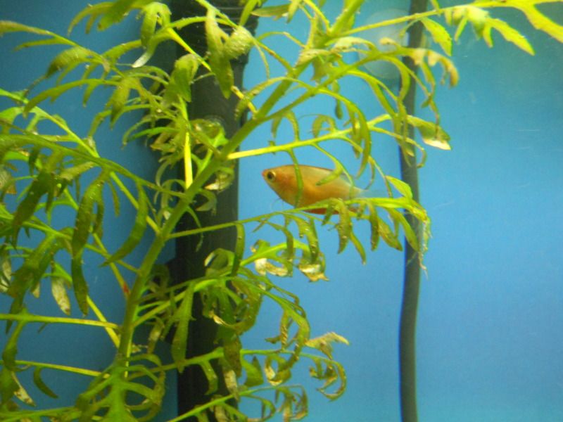 DSCN1710.jpg