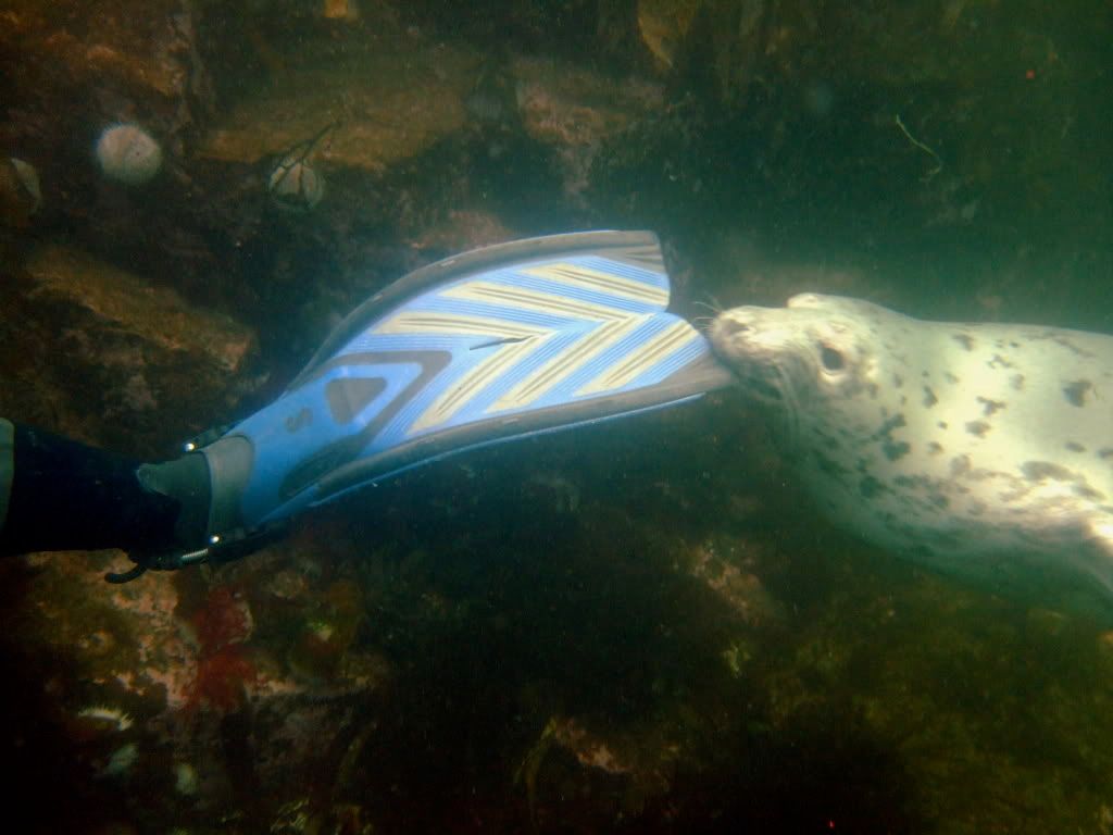 DSCF6359.jpg