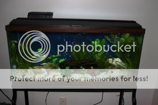 IMG_2756.jpg