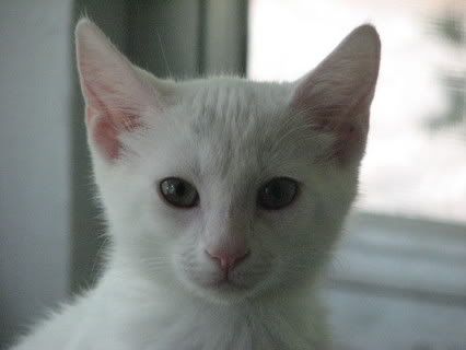 IMG_0715.jpg
