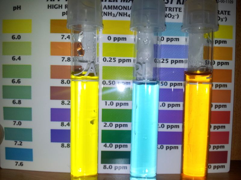 20120802_183234.jpg