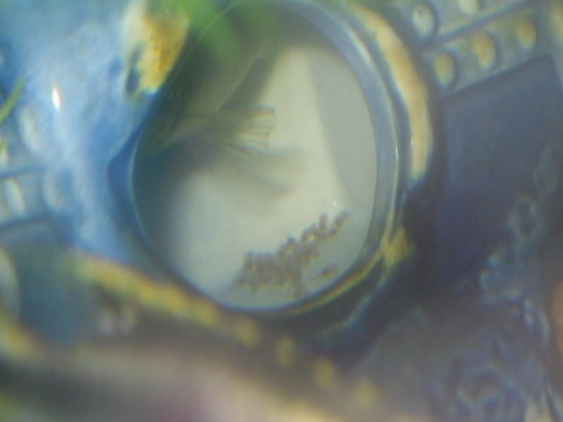 SDC10261.jpg