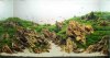 www.aquascapingworld.com