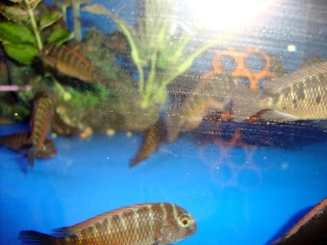 DSC01346.jpg