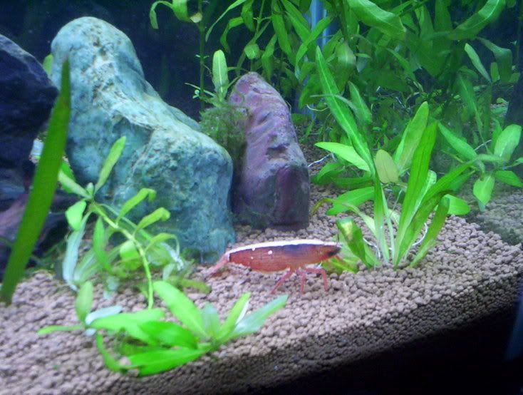 100_0445.jpg