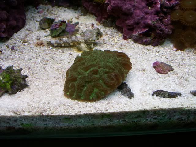 Picture006.jpg