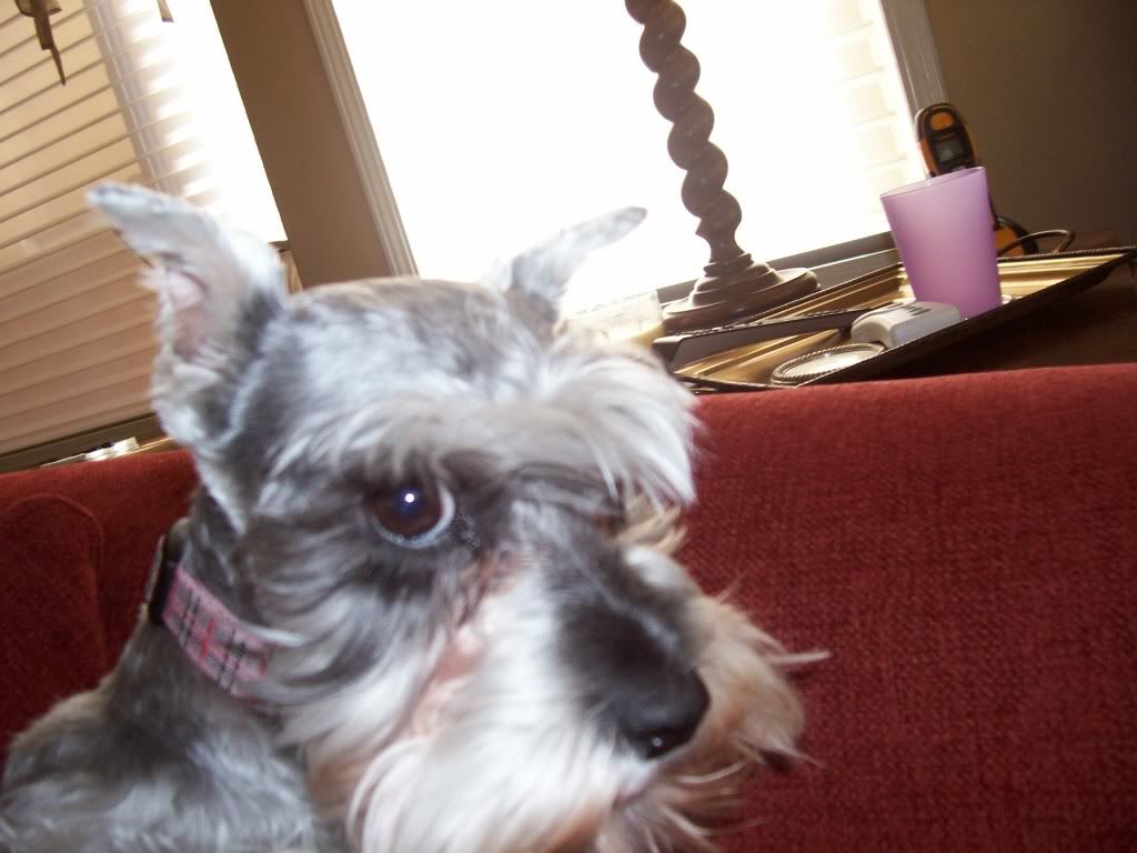 100_0414.jpg