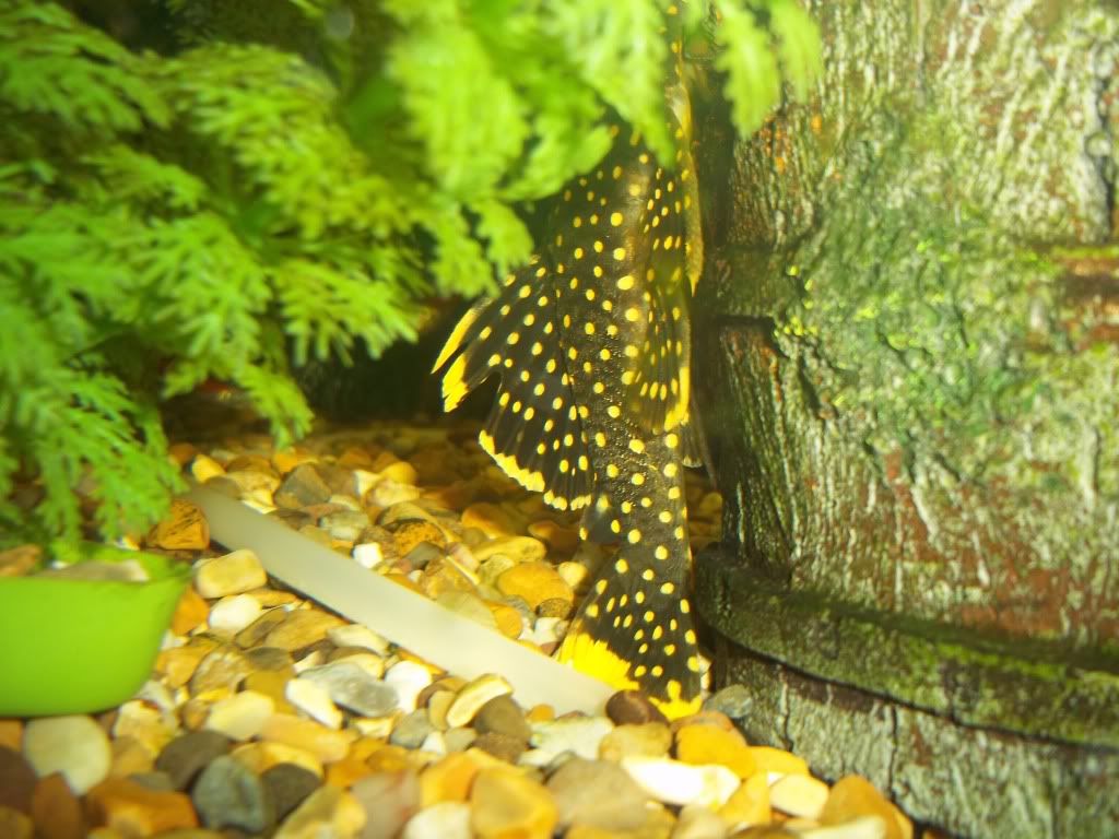 100_0754.jpg