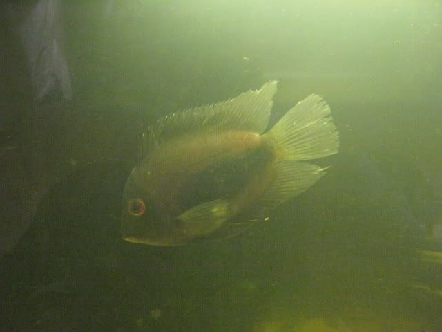 025-7.jpg