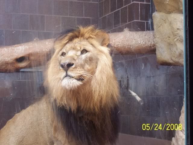 100_3287.jpg