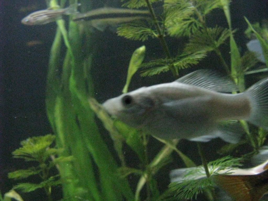 IMG_2145.jpg