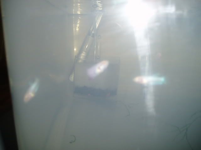 P9130006.jpg